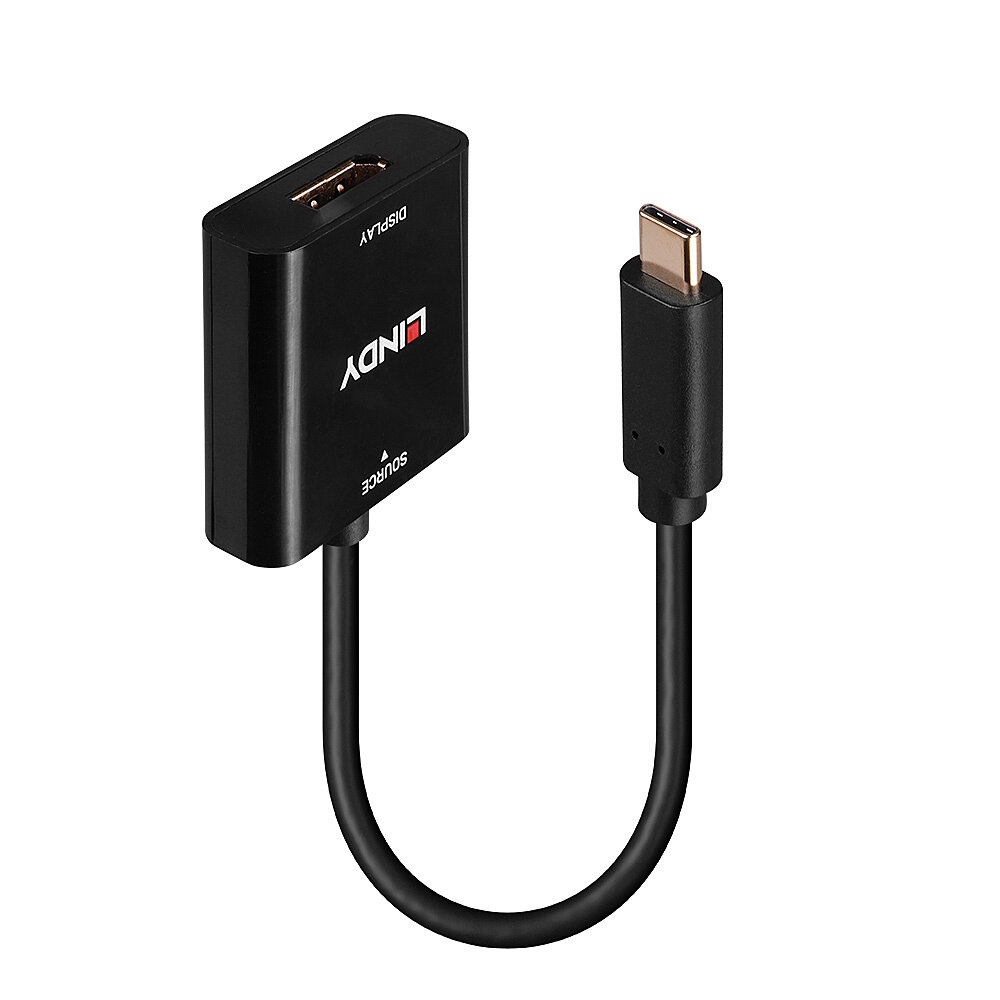 Lindy Convertitore USB Tipo C a DisplayPort 4K a 144Hz - Design Durevole