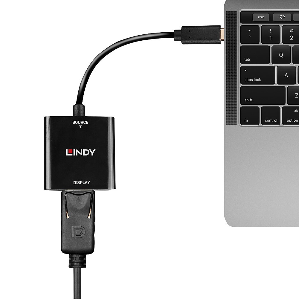 Lindy Convertitore USB Tipo C a DisplayPort 4K a 144Hz - Design Durevole