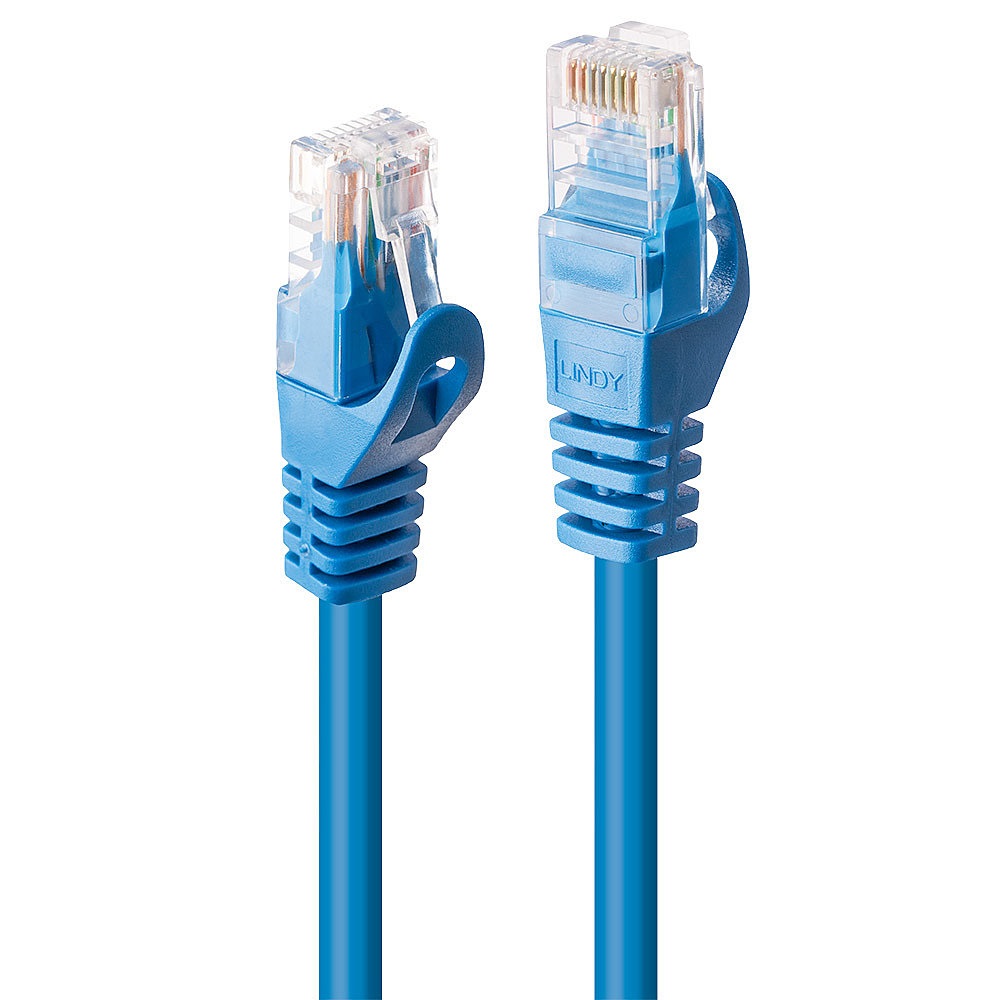 Lindy Cavo di Rete Cat.6 U/UTP Blu, 0.3m, Connettori RJ-45, Guaina in PVC