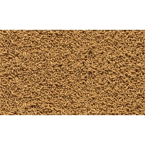 Tetra Pond Sticks 40 L - Mangime Completo in Stick per Pesci da Laghetto con Nutrienti Essenziali