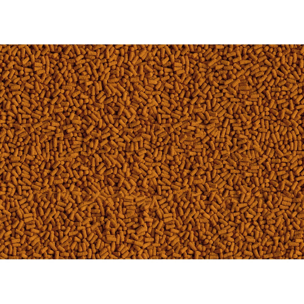 Tetra Pond Koi Colour & Growth Sticks 1L - Mangime premium in bastoncini per carpe koi a partire da 15 cm, per vitalità, crescita sana e colorazione intensa