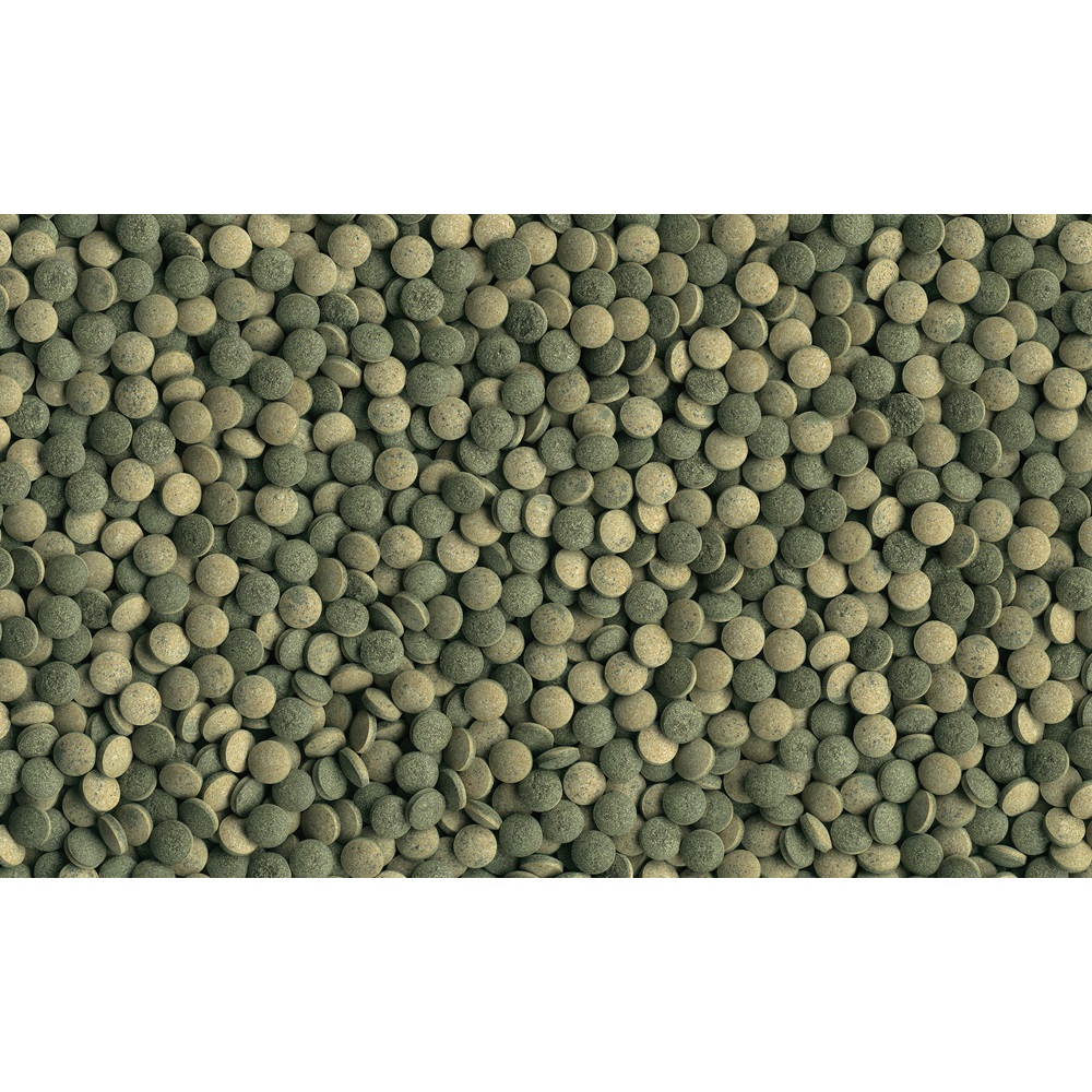 Tetra Pleco Tablets - 58 Compresse Bicolori con Spirulina per Pesci Gatto Erbivori