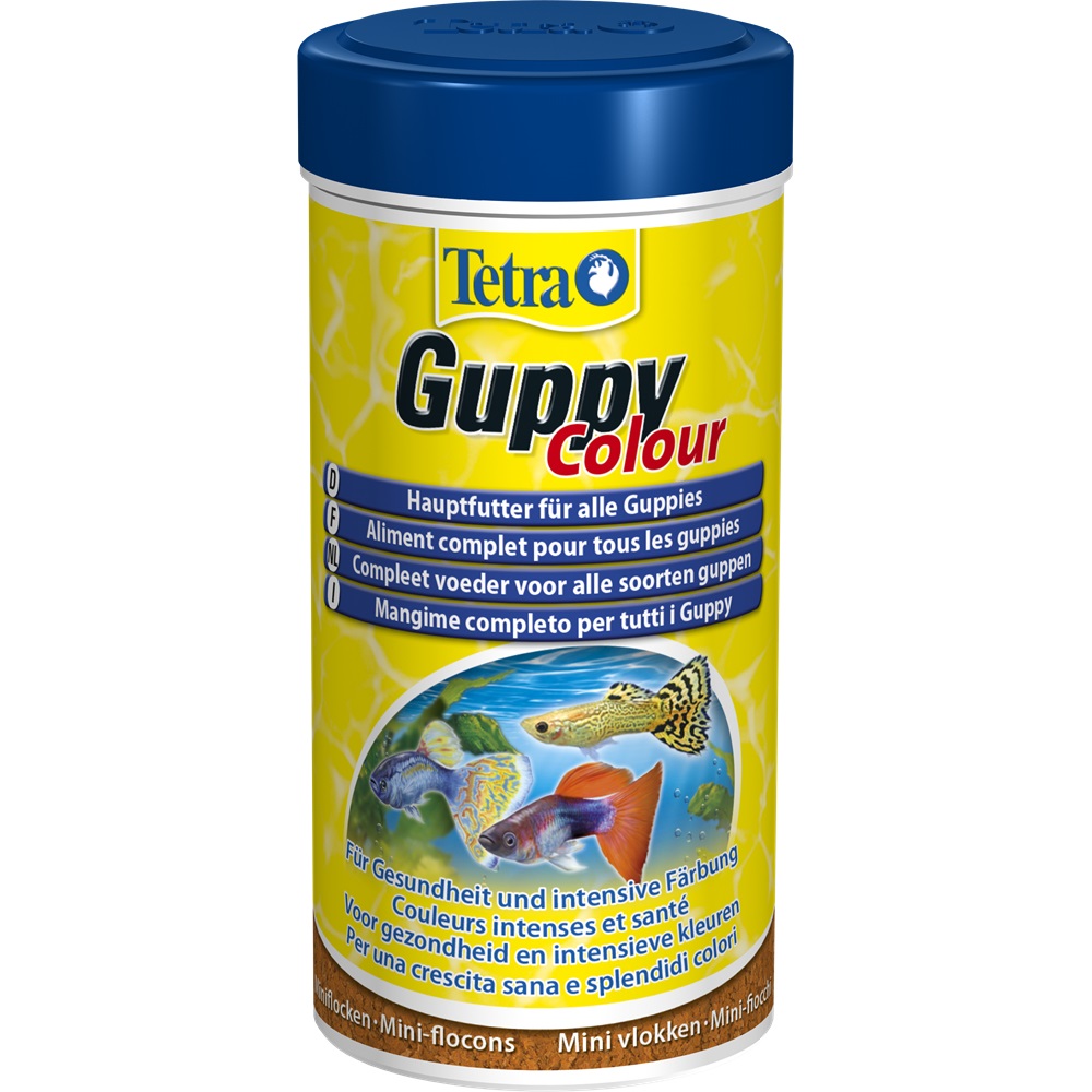 Tetra Guppy Colour 250 ml - Mangime in Mini Fiocchi per Guppy e Pesci Vivipari, Promuove Colori Intensi e Brillanti