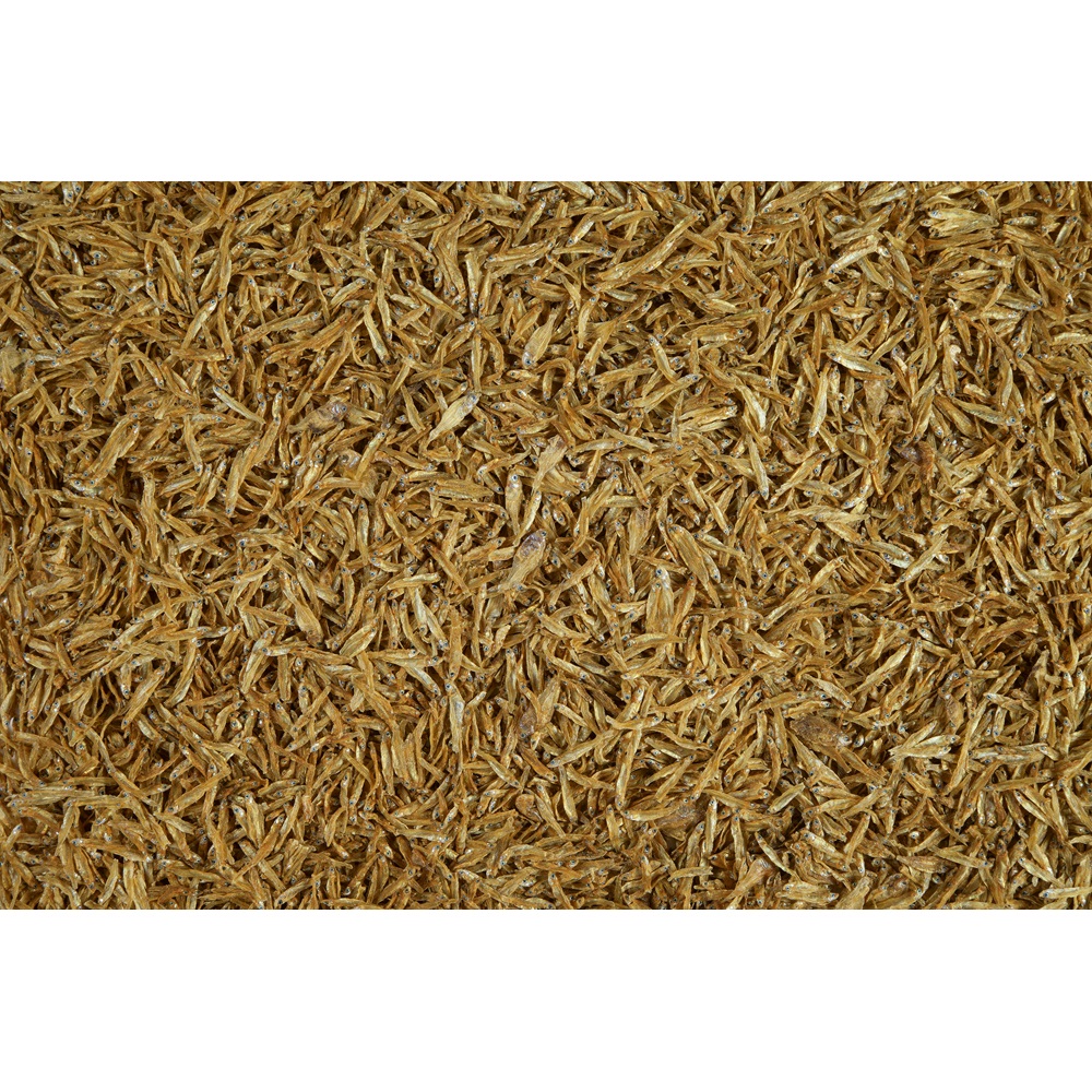 Tetra ReptoDelica Acciughe 250 ml - Mangime naturale per tartarughe acquatiche a base di pesce intero essiccato