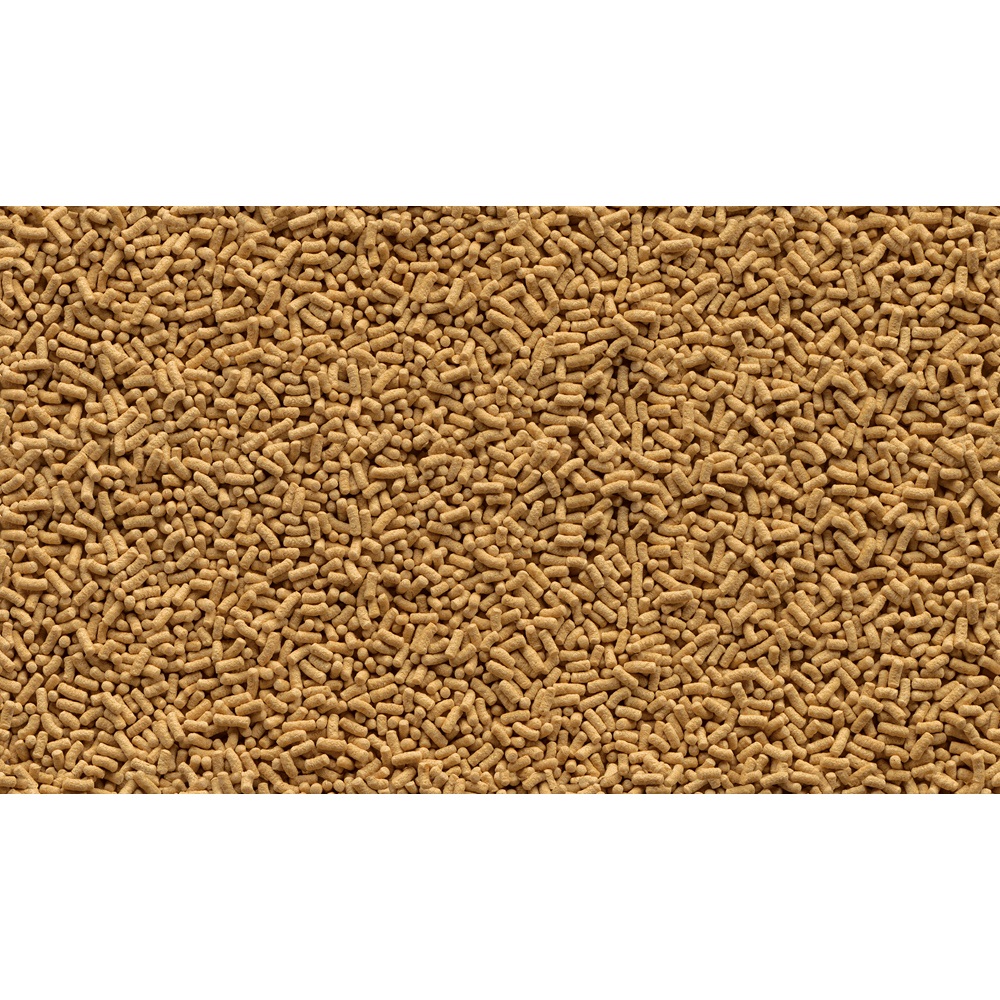 Tetra Pond Sticks 1 L - Mangime Completo per Pesci Rossi e Carpe Koi, Nutrienti Essenziali e Biologicamente Bilanciato