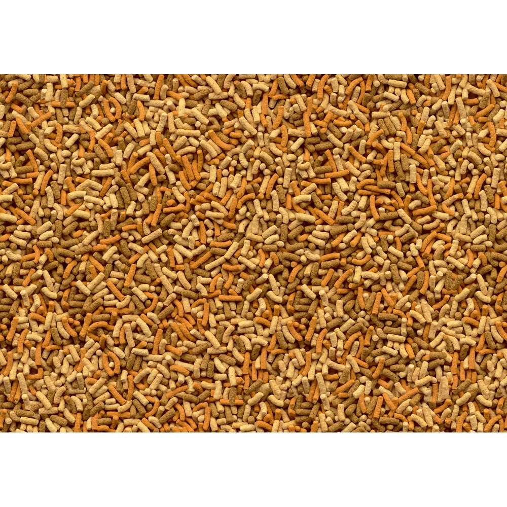 Tetra Pond Variety Sticks 1L - Cibo completo in stick per pesci da laghetto, miscela di tre tipi, nutriente e colorante