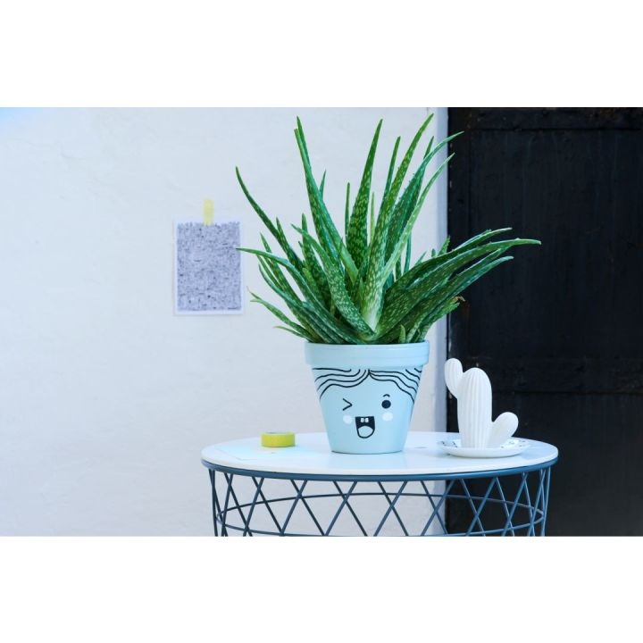 Edding 750 Marcatori a Vernice Lucida Multicolore Set da 10 Punta Rotonda 2-4 mm Indelebili per Vetro, Pietra, Legno, Plastica, Carta - Impermeabili e Alta Copertura