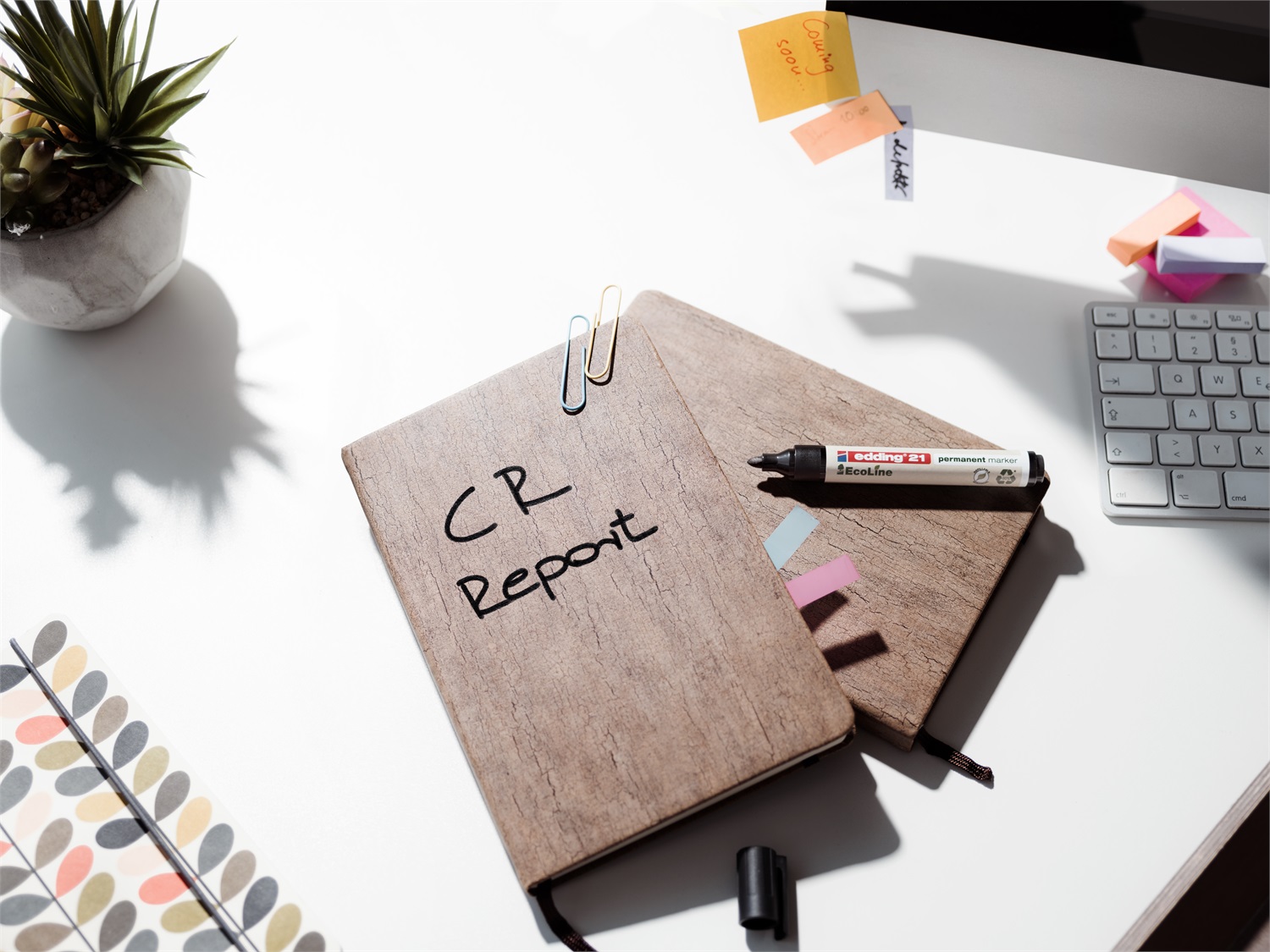 Edding 21 EcoLine Marcatore Permanente Rosso Punta Conica 1,5-3 mm - Conf. 10 Pezzi