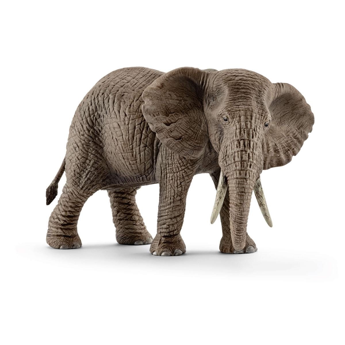 Schleich Femmina di Elefante Africano 14761 - Action Figure WILD LIFE in Plastica, 14,6 x 7,5 x 9,1 cm, per bambini da 3 anni