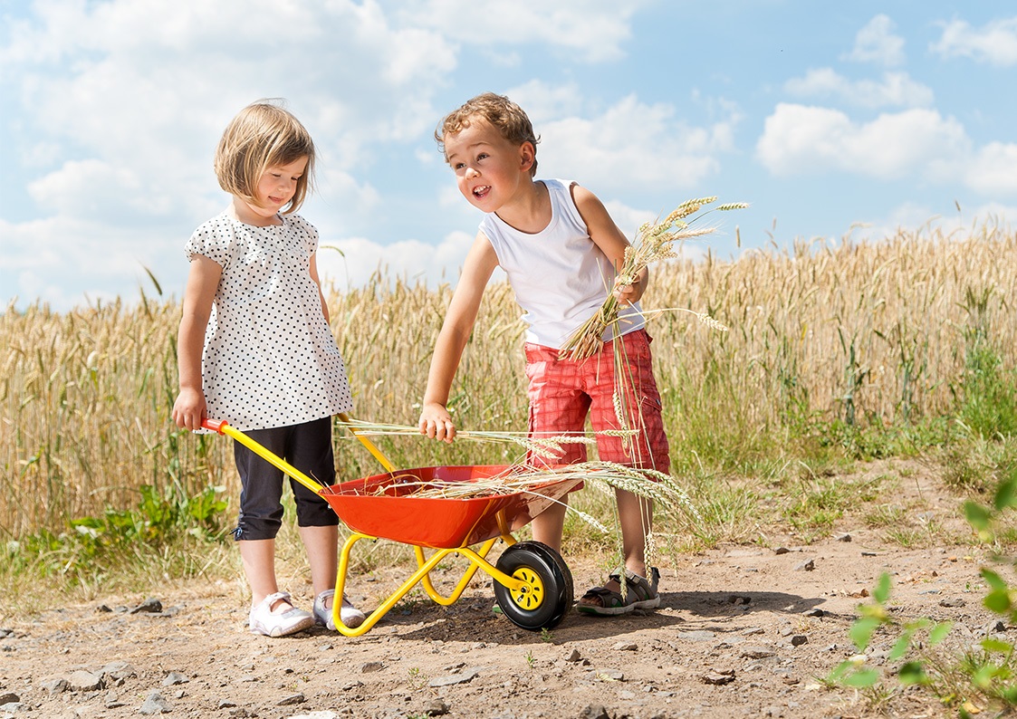 Rolly Toys Carriola in Metallo Rossa - Carriola con Contenitore in Metallo, Telaio Giallo, Adatta per Bambini dai 3 Anni