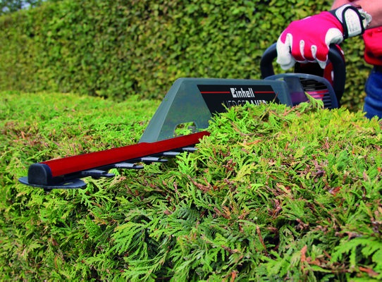Einhell GE-EH 6560 Tagliasiepi Elettrico 650 W con Lama da 60 cm e Impugnatura Girevole