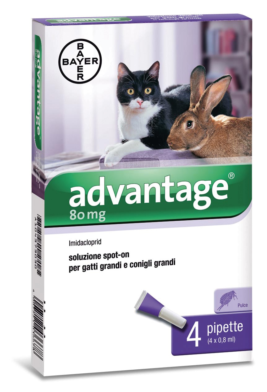 Bayer Advantage Spot-On Antiparassitario per Gatti e Conigli oltre 4 kg - 4 Pipette da 0,8 ml per la Prevenzione e Trattamento delle Pulci