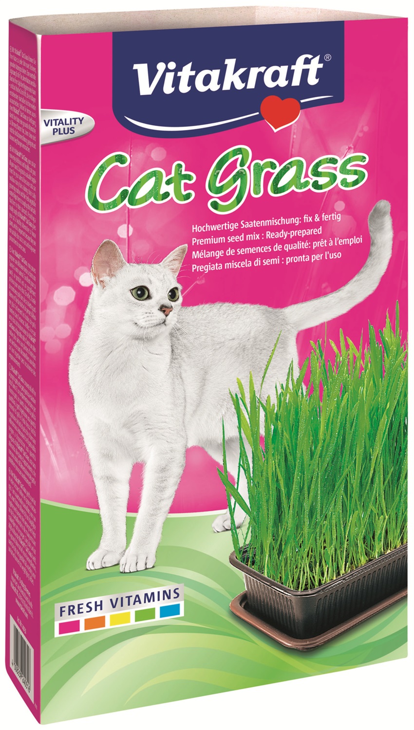 Vitakraft Cat Grass - Erba gatta 120g, miscela di semi per stimolare la digestione e aiutare a rigettare i peli