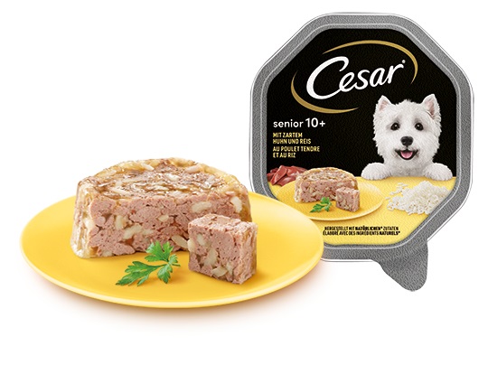 Cesar Senior 10 Cibo Umido per Cani Pollo e Riso in Gelatina - 150 g
