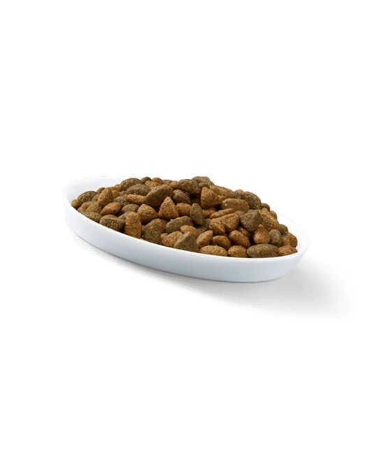 Perfect Fit Cibo Secco per Gatti Adulto 1 Ricco di Pollo - 2,8 kg