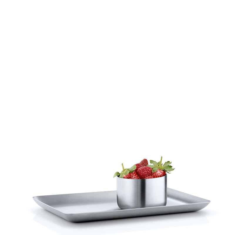 Blomus BASIC Vassoio in Acciaio Inox Spazzolato - 13 x 22 cm, Design Flz, Lavabile in Lavastoviglie