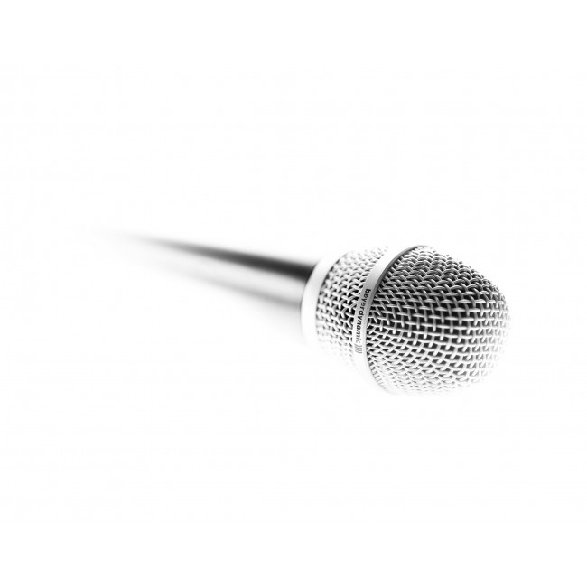 Beyerdynamic TG V35 s - Microfono Dinamico Supercardioide per Canto e Parola con Interruttore On/Off