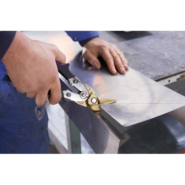 BESSEY D27AHL-TIN cesoia Sinistra