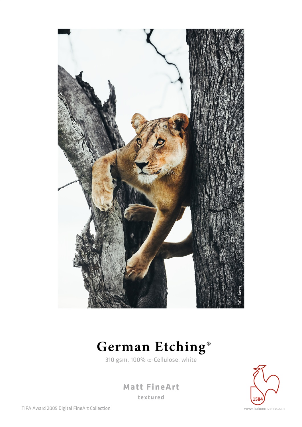 Hahnemühle German Etching - Carta Fineart 310g, 61cm x 12m, per Stampa a Getto d'Inchiostro