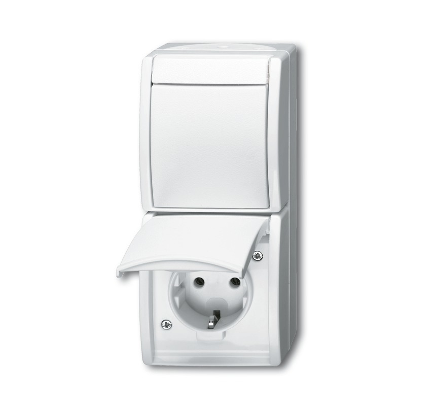 Busch-Jaeger Combinazione Spina/Interruttore 2601/6/20 EW-54 con Presa Schuko e Protezione IP44, Bianco Alpino