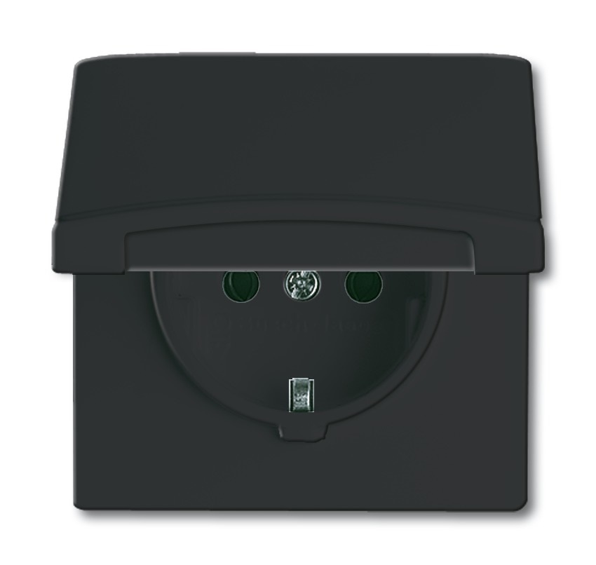 Busch-Jaeger Presa Schuko con Coperchio Ribaltabile IP44 Antracite - Modello 20 EUGK-35-101