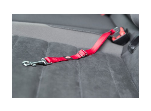 TRIXIE Pettorina e Cintura di Sicurezza per Gatti - Regolabile 20-50 cm, Nylon Imbottito, Colore Rosso