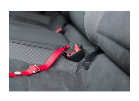 TRIXIE Pettorina e Cintura di Sicurezza per Gatti - Regolabile 20-50 cm, Nylon Imbottito, Colore Rosso