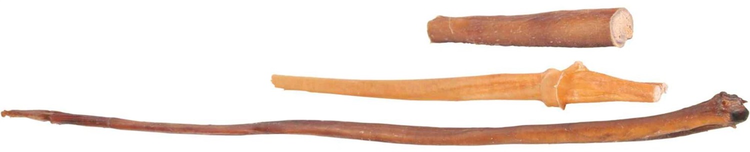 TRIXIE Nervo di Bue Essiccato per Cani e Gatti - 12 cm, Confezione da 10 Pezzi