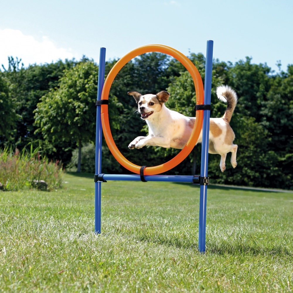 TRIXIE Anello Agility per Cani - 115 x 3 cm, Altezza Regolabile, Plastica, Colori Arancione e Blu