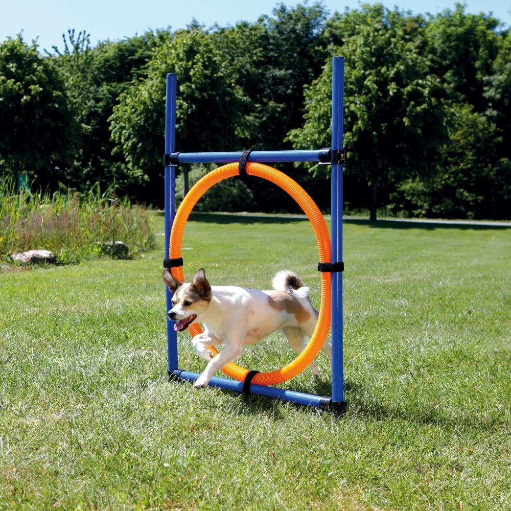 TRIXIE Anello Agility per Cani - 115 x 3 cm, Altezza Regolabile, Plastica, Colori Arancione e Blu