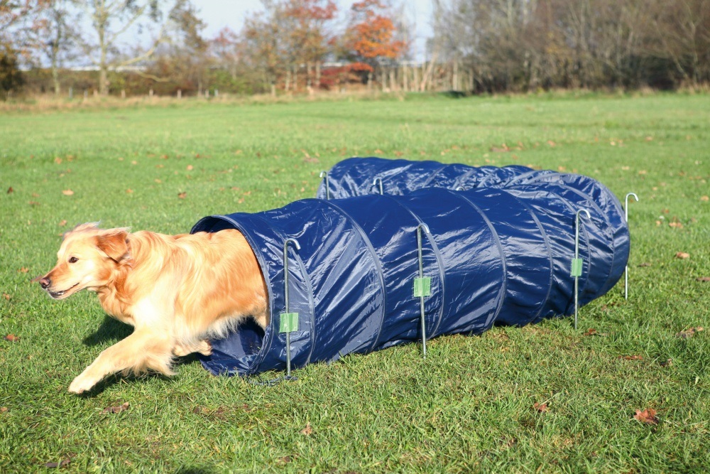 TRIXIE Tunnel Agility per Cani - 5 m, 60 cm di Diametro, Blu in Poliestere con Ganci Inclusi