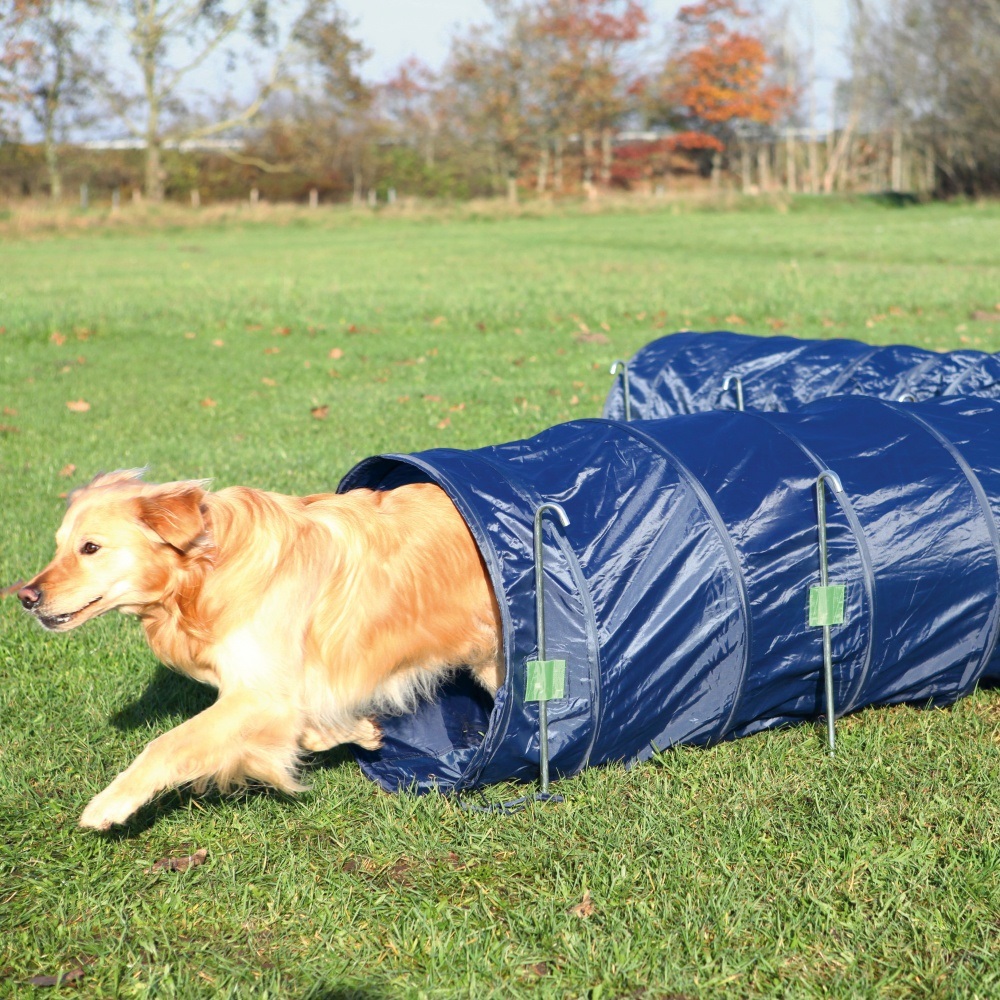 TRIXIE Tunnel Agility per Cani - 5 m, 60 cm di Diametro, Blu in Poliestere con Ganci Inclusi