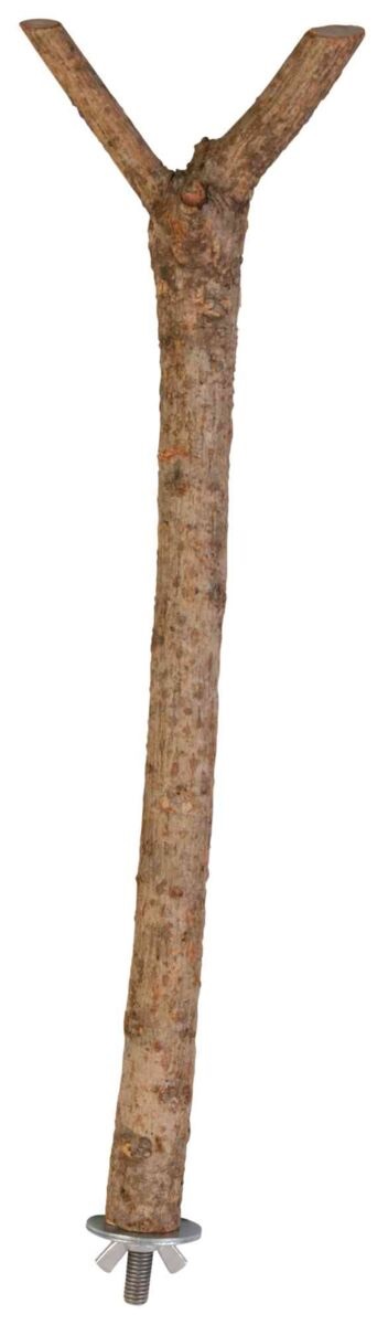 TRIXIE Posatoio per Uccelli a Forma di Y in Legno Naturale - 35 cm, Adatto per Canarini e Cocorite