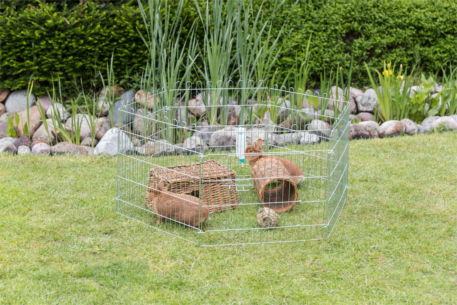 TRIXIE Recinto per Cuccioli e Roditori - 6 Elementi, Metallo Zincato, 60 x 63 cm