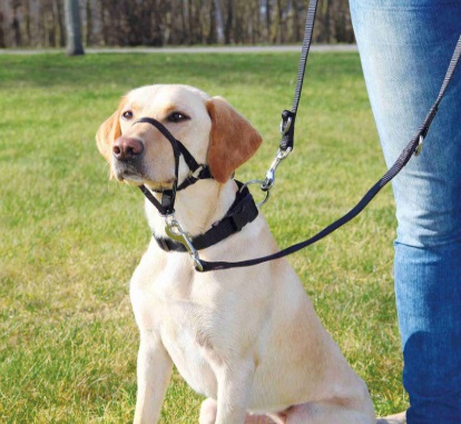 Trixie Top Trainer Collare a Cavezza con Museruola Educativa L-XL Nero - Controllo Ottimale per Cani di Grande Taglia