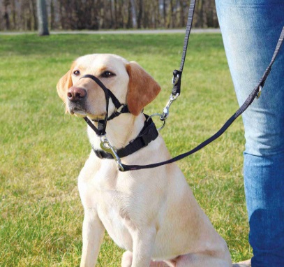 TRIXIE Top Trainer Collare Museruola Educativa Taglia XL (46 / 54-66 CM) - Resistente e Confortevole con Imbottitura in Neoprene