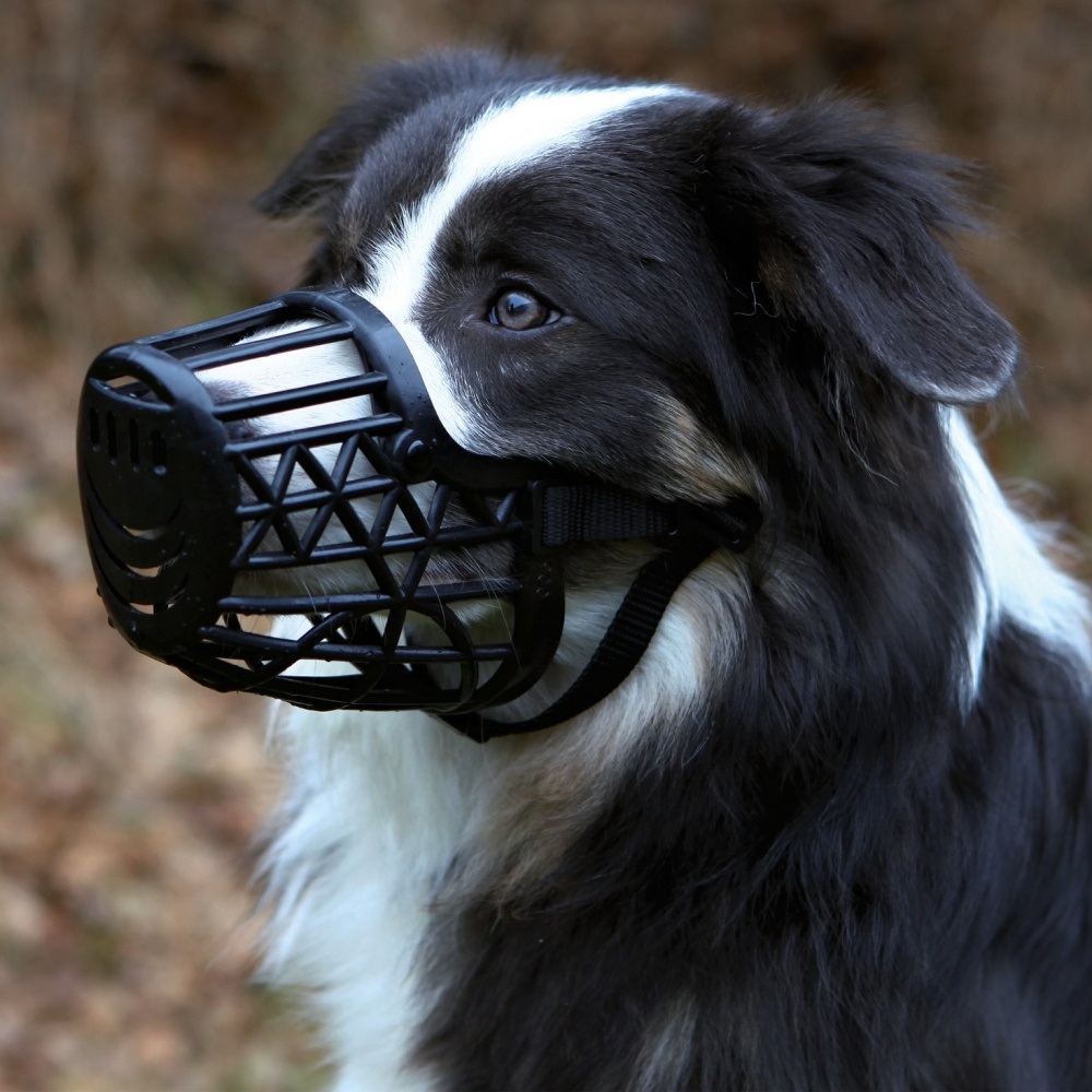 TRIXIE Museruola Chiusa in Plastica per Cani S-M - Regolabile, Colore Nero, Sicurezza Garantita