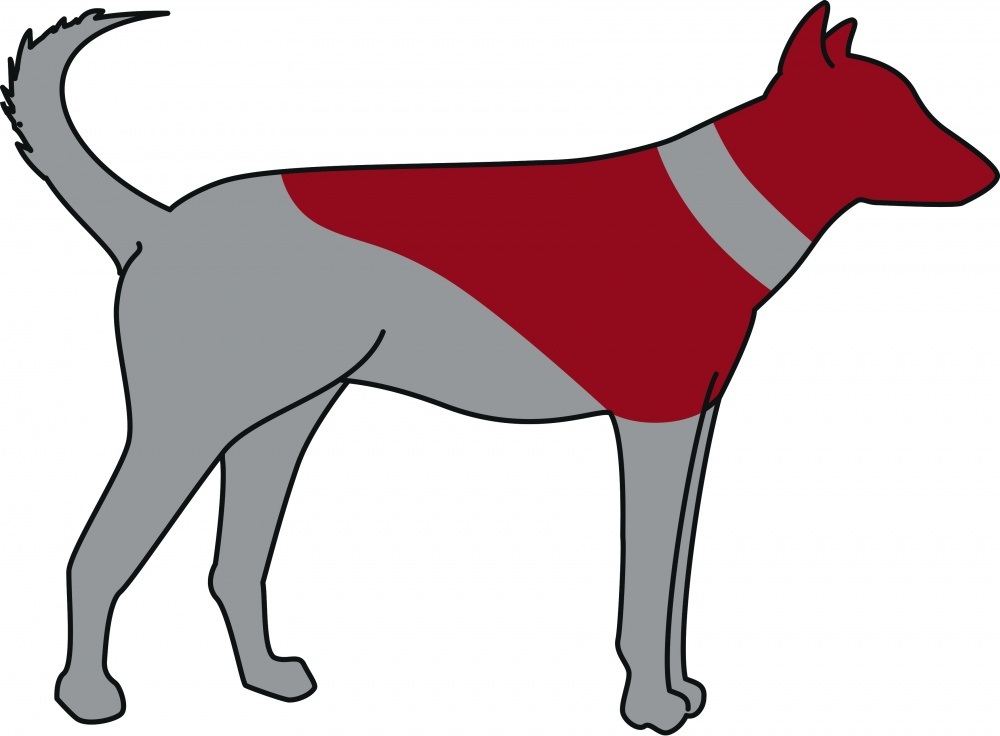 TRIXIE Collare Elisabetta Gonfiabile L-XL Blu - Protezione per Ferite ed Eczemi, Materiale Morbido e Flessibile