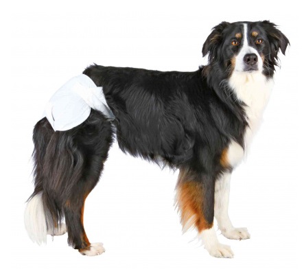 TRIXIE Pannolini per Cani Femmina M-L (36-52 cm) - 12 Pezzi, Monouso, Assorbenti, con Apertura per la Coda