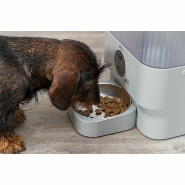 TRIXIE Distributore Automatico TX-C Smart 5.0L - Alimentazione Programmabile per Cani e Gatti in Grigio Chiaro