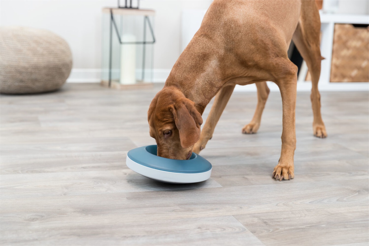 TRIXIE Slow Feeding Rocking Bowl - Ciotola Anti-Ingozzamento per Cani, 500 ml, Ø 23 cm, Blu