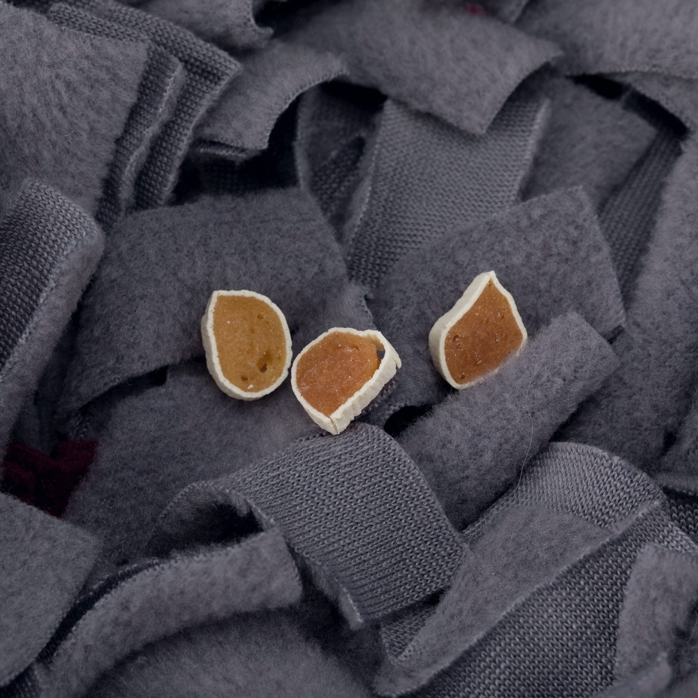 Trixie Tappetino Snif Snif Activity - Gioco Strategico Interattivo per Cani e Gatti - 50 x 34 cm