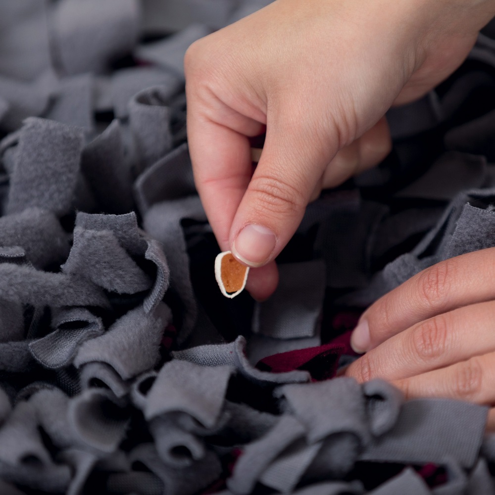 Trixie Tappetino Snif Snif Activity - Gioco Strategico Interattivo per Cani e Gatti - 50 x 34 cm