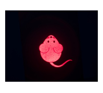TRIXIE Puntatore LED a forma di topo ricaricabile USB per gatti - 8,5 cm