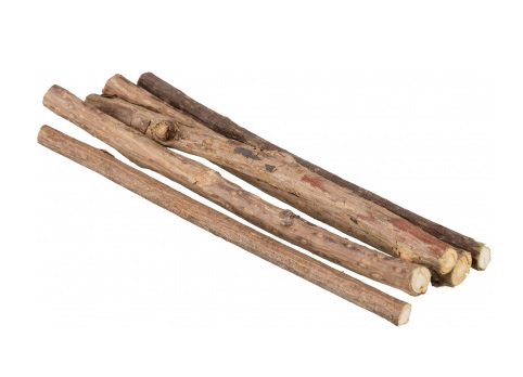 Trixie Bastoncini da Masticare Matatabi 100% Naturale per Gatti - 10 g, Favoriscono l'Igiene Dentale e Rinfrescano l'Alito