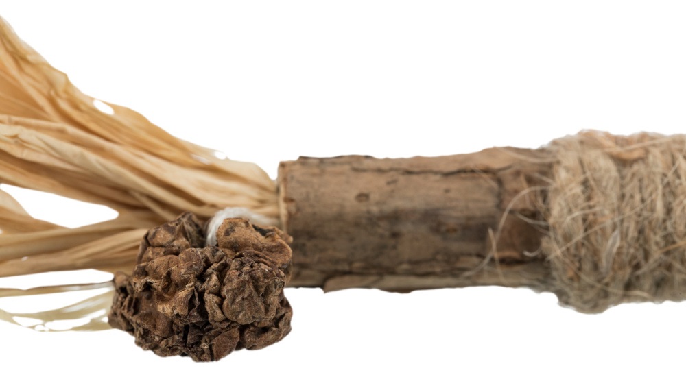 Trixie Bastoncino di Matatabi con Frange per Gatti - 24 cm, Giocattolo Naturale per Igiene Dentale
