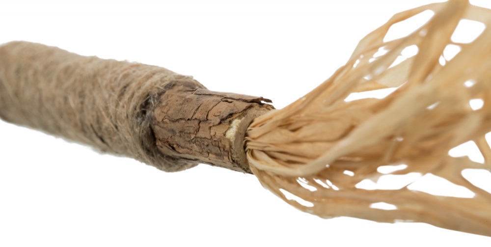 Trixie Bastoncino di Matatabi con Frange per Gatti - 24 cm, Giocattolo Naturale per Igiene Dentale
