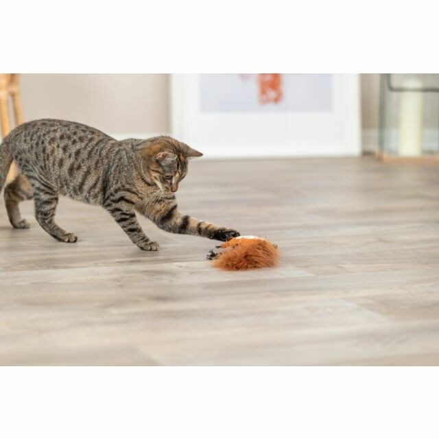 Trixie Gioco per Gatti Scoiattolo con Erba Gatta - Giocattolo in Peluche Morbido