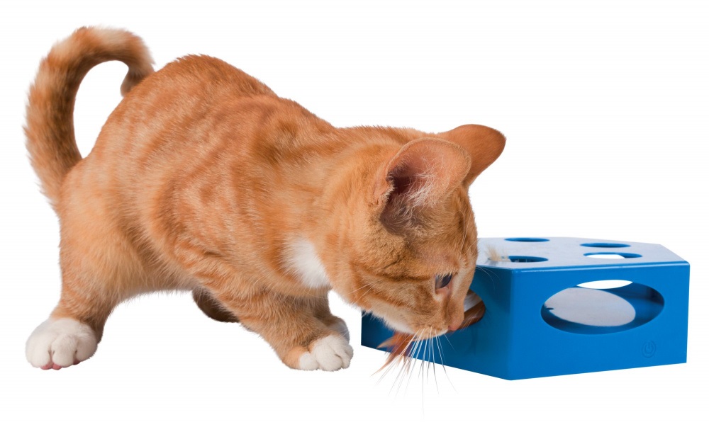 TRIXIE 46007 Gioco per Gatti Turning Feather in Plastica Ø 22 cm - Piuma Rotante con Spegnimento Automatico e Piedini Antiscivolo