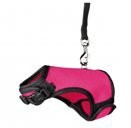 TRIXIE Pettorina Completa con Guinzaglio per Porcellini d'India - Regolabile, Nylon Resistente e Imbottita